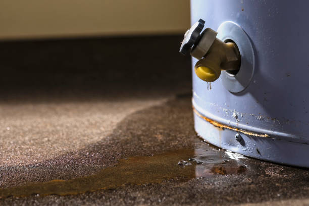 Best Flooded house restoration  in Lonoke, AR