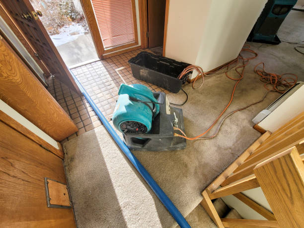 Best Water damage mitigation services  in Lonoke, AR