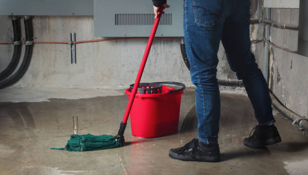 Best Carpet water damage restoration  in Lonoke, AR
