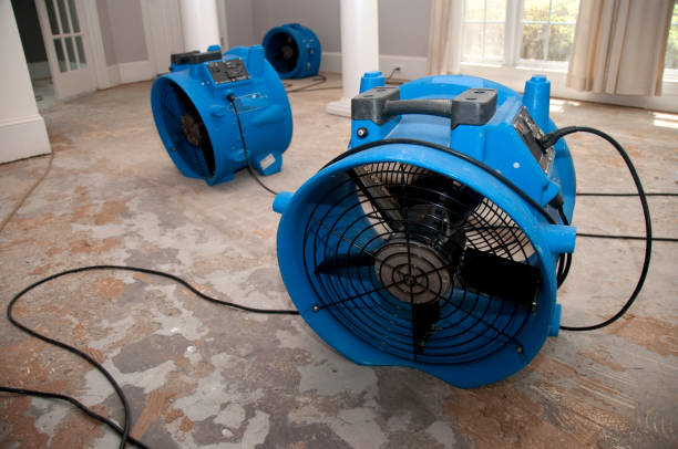 Best Water damage restoration specialists  in Lonoke, AR