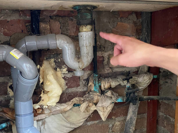Best Local water damage restoration  in Lonoke, AR