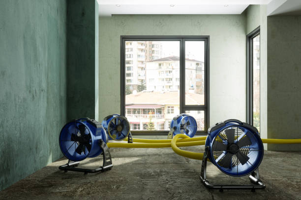 Best Professional water damage repair  in Lonoke, AR